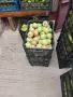 Круши, Ябълки,Мед и Сокове , снимка 6