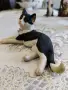 Фигури за декорация Котки, снимка 3