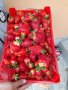 Продавам разсад ягоди и малини, снимка 1 - Разсади - 42143118