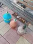 Стъклени дамаджани, снимка 5