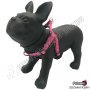 Нагръдник за Куче - Go Get Harness Neoprene - XS, S, M, L - Motivo Rosa - Pet Interest, снимка 1