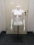 Манекен Торс Дамски, снимка 2