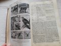 Антикварни книги на немски - 1929 г и 1937 г., снимка 10