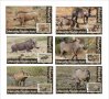 Чисти блокове Фауна Брадавичеста свиня 2020 от Тонго, снимка 1 - Филателия - 37601490