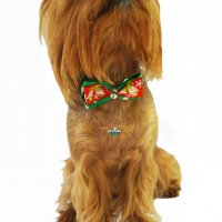 Коледна папийонка, нашийник за куче Коледни кучешки аксесоари, снимка 2 - За кучета - 34699257