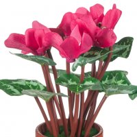 Изкуствена декоративна циклама в саксия, 28 см, розова, снимка 2 - Изкуствени цветя - 35587987