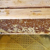 Полифлорен мед реколта 2023 г., снимка 1 - Пчелни продукти - 42170508
