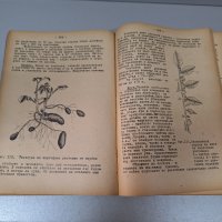 Растениевъдство-Ръководство за лабораторно-практически занятия, 1955 г., снимка 2 - Специализирана литература - 42906308