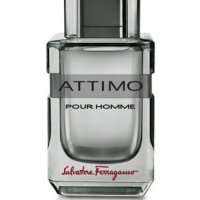 Salvatore Ferragamo Attimo Pour Homme, снимка 4 - Мъжки парфюми - 22449695