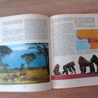 Животинският свят на Земята 1981г-детска енциклопедия, снимка 6 - Енциклопедии, справочници - 42776015