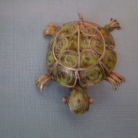  Антикварна брошка костенурка сребърна проба 800 И филигран , снимка 13 - Антикварни и старинни предмети - 36876012