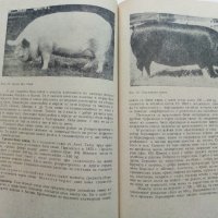Животновъдство - Д.Димитров,П.Цонев - 1974 г., снимка 9 - Специализирана литература - 30444258