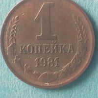 1 копейка 1981 года Русия, снимка 1 - Нумизматика и бонистика - 44289651