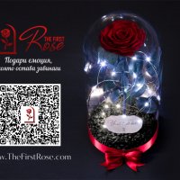Подарък за Годишнина / Естествена Вечна Роза в Голяма Стъкленица / Оригинален Подарък за Жена, снимка 8 - Други - 34470749