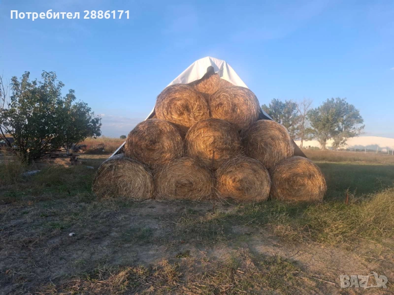 Продавам бали овес, снимка 1