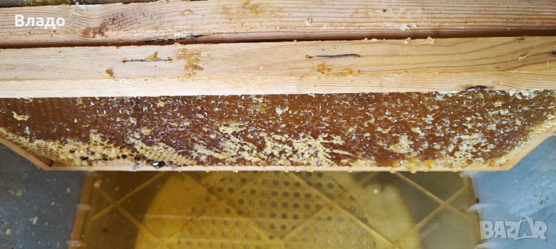 Полифлорен мед реколта 2023 г., снимка 1