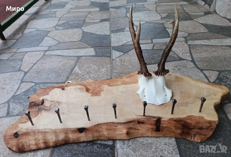 Стойка(закачалка) за ключове.Рога.Трофей, снимка 1