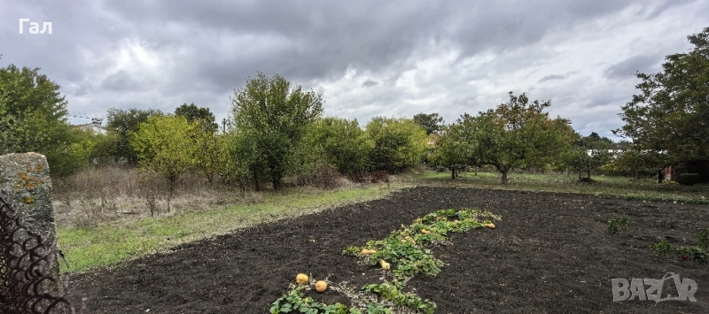 Парцел в регулация в с.Могилище , снимка 1