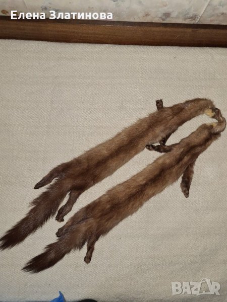 Яка от НОРКА, снимка 1