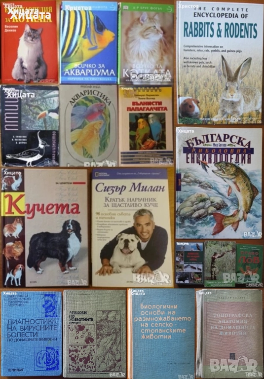  Птици;Котката;Кучета;Наръчник куче;Всичко за аквариума;Акваристика;Папагалчета;Лов;Риболов;Болести , снимка 1