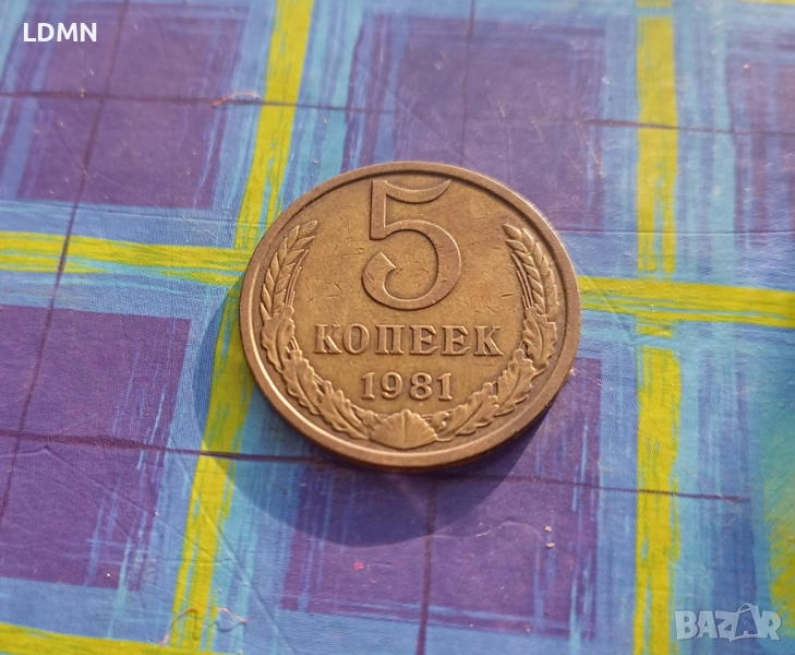 5 Копейки 1981 СССР, снимка 1