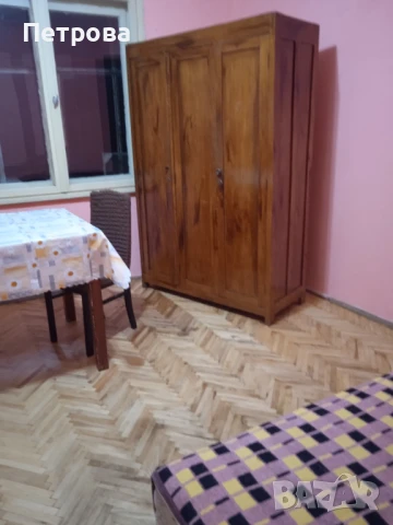 Стая под наем, снимка 3 - Стаи под наем - 50587489