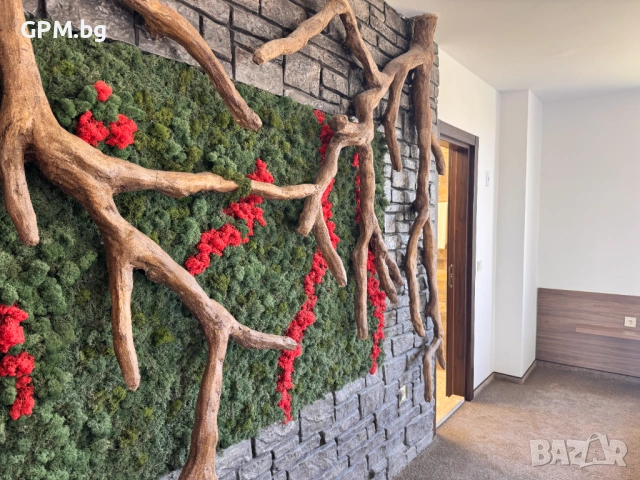 Еко Комплекс Албиция – частна вила Албиция, снимка 17 - Почивки на море - 53880509