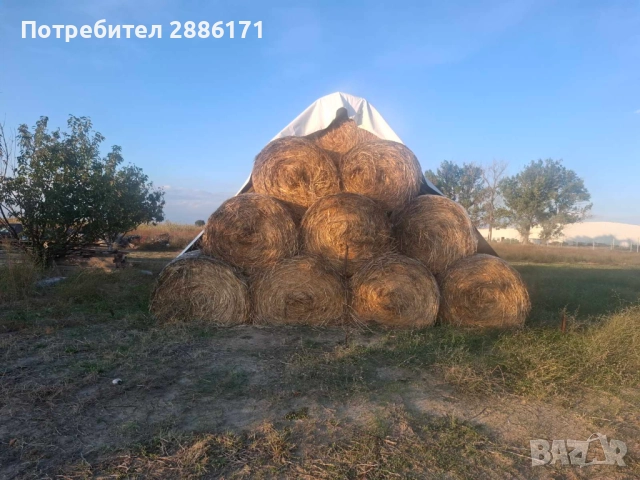 Продавам бали овес