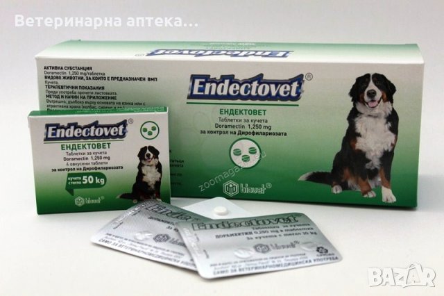 Предпазете кучето си от заразени комари!!!, снимка 6 - Ветеринари и услуги - 26358981