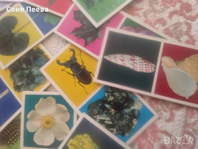 Домино-пъзел с подарък дървени кубчета, снимка 2 - Образователни игри - 48354953