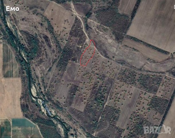 Продавам земя Статут - Овощна градина Ръжево Конаре, снимка 4 - Земеделска земя - 32160207