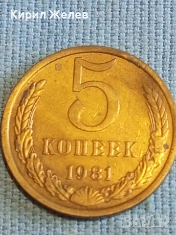 Стара монета 5 копейки 1981г. СССР рядка за КОЛЕКЦИЯ ДЕКОРАЦИЯ 40280, снимка 4 - Нумизматика и бонистика - 48208522
