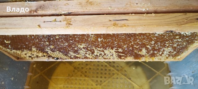 Полифлорен мед реколта 2023 г., снимка 1 - Пчелни продукти - 42170508