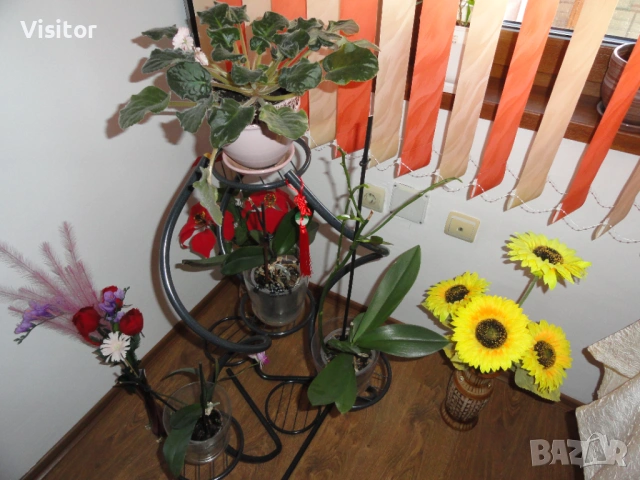 Sony Cyber-shot DSC-H55  - 14.1 MPx, снимка 11 - Фотоапарати - 54117639