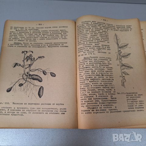 Растениевъдство-Ръководство за лабораторно-практически занятия, 1955 г., снимка 2 - Специализирана литература - 42906308