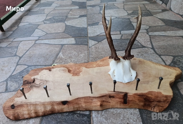 Стойка(закачалка) за ключове.Рога.Трофей