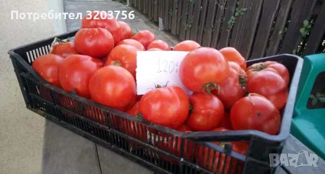 Продавам домати,