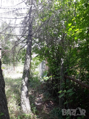 Продавам Имот с Вила на Кенана -Хасково, снимка 8 - Вили - 51552839