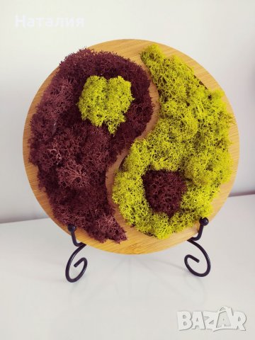 Пано Ин-Ян скандинавски мъх 