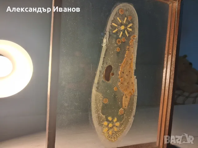 Старо,учебно пособие,макет на чехълче, снимка 2 - Колекции - 56150043