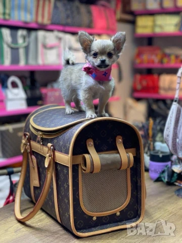 чанта за носене на кучета louis vuitton 
