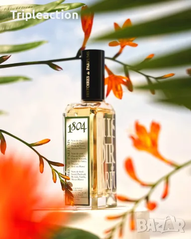 1804 Histoires de Parfums , снимка 4 - Унисекс парфюми - 55731921