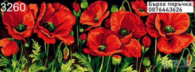 Мини диамантен гоблен Макове, снимка 1