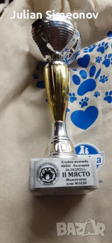МЪЖКА КАВКАЗКА ОВЧАРКА , снимка 3 - Кавказка овчарка - 56161612