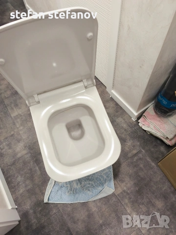 тоалетна чиния 