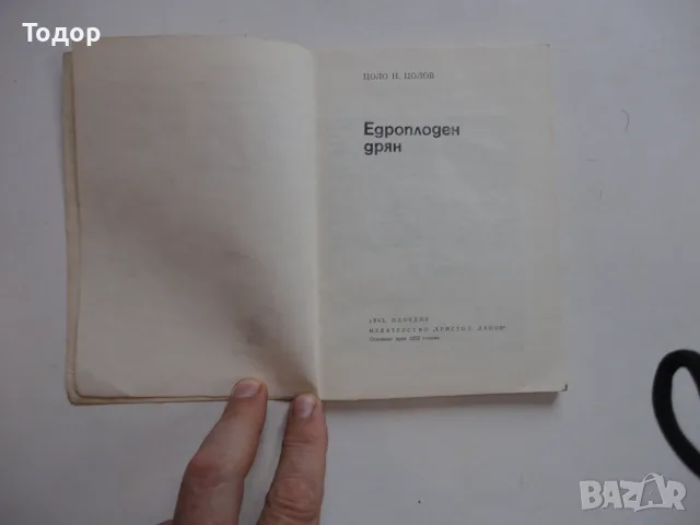 Книга Едроплоден дрян Цолов , снимка 3 - Специализирана литература - 56252624