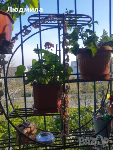 Цветарник,ковано желязо на няколко нива,грундиран и боядисан , снимка 11 - Градински мебели, декорация  - 50096264