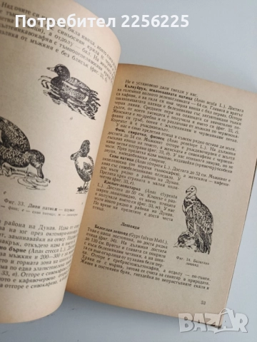 Наръчник на дивечовъда, снимка 9 - Специализирана литература - 52441752