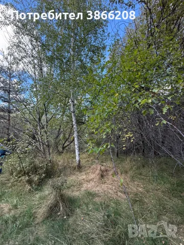 Земеделска земя , снимка 2 - Парцели - 56413709