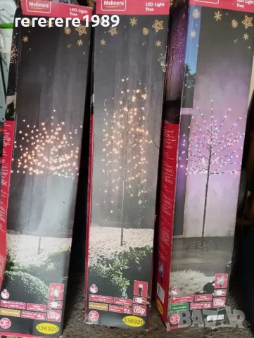 Коледни дръвчета